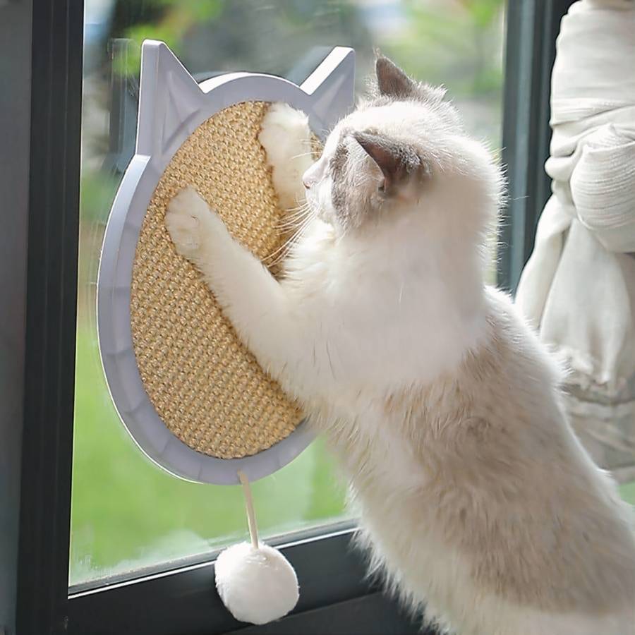 planche écologique chat