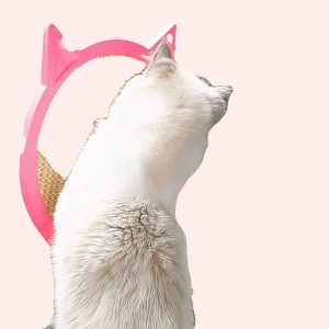 planche à gratter pour chat