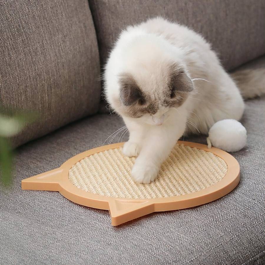 accessoire griffoir pour chat