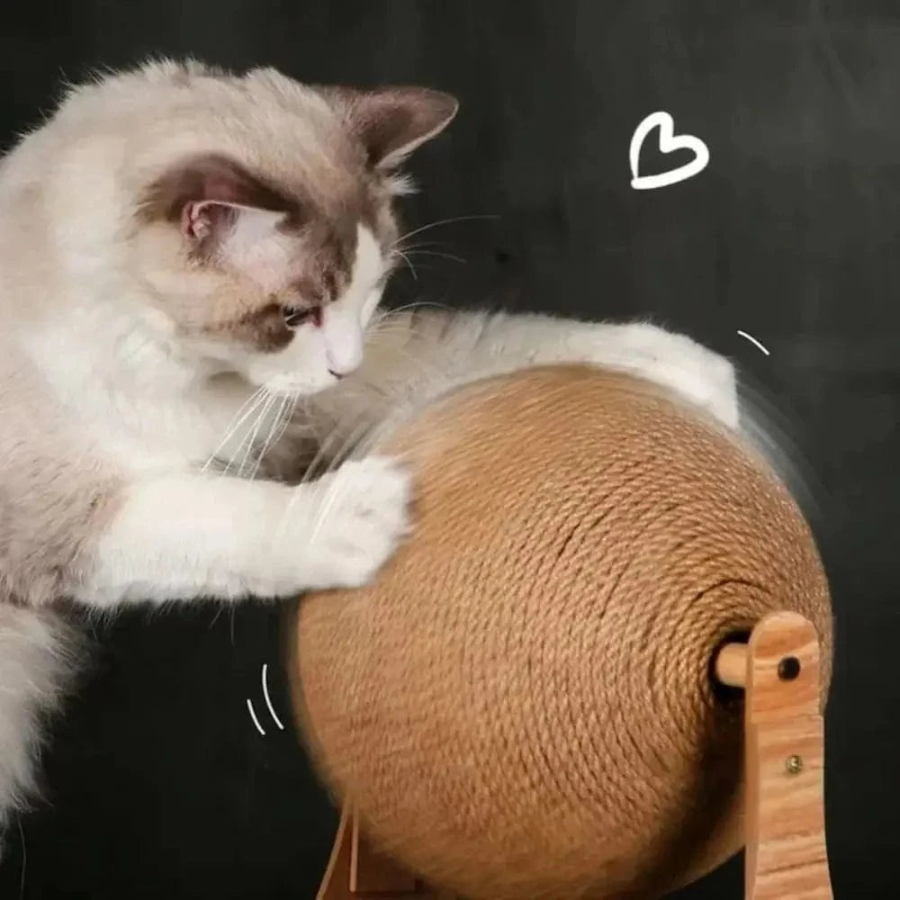 accessoire chat avec boule