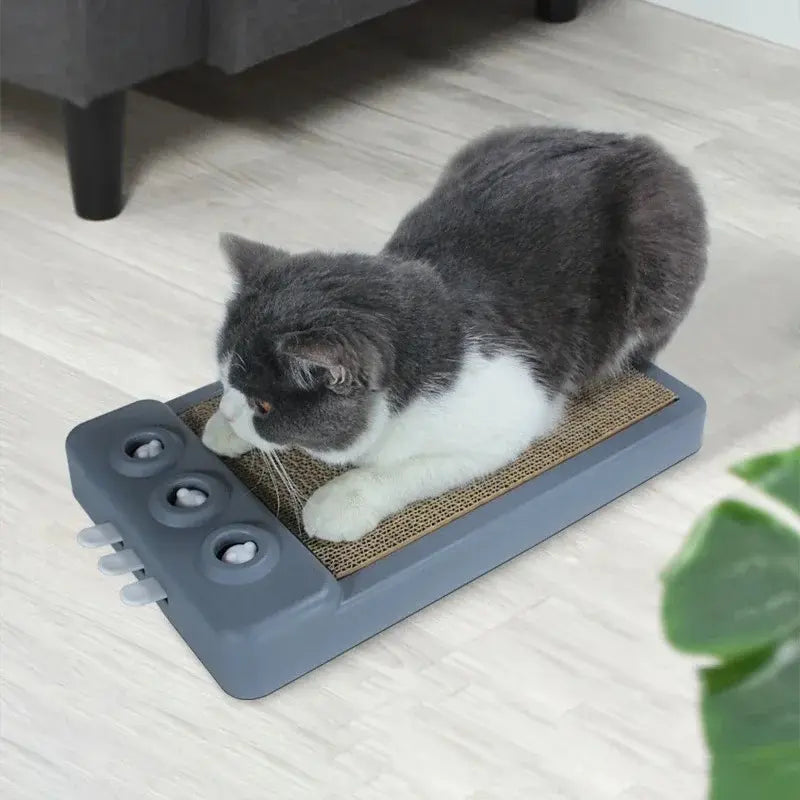 protège meubles chat