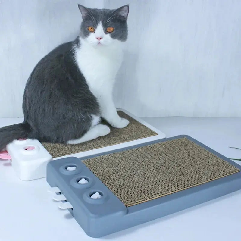 griffoir élégant chat