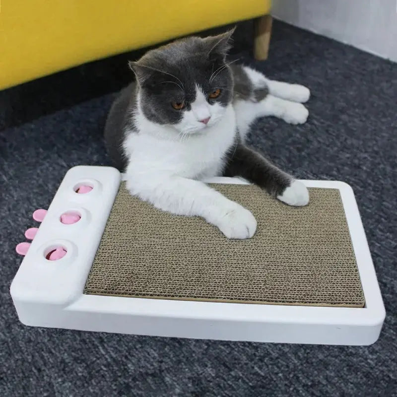 accessoire chat Chatelin