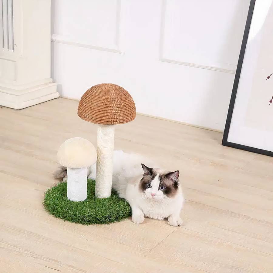 jouet pour chat en forme de champignon