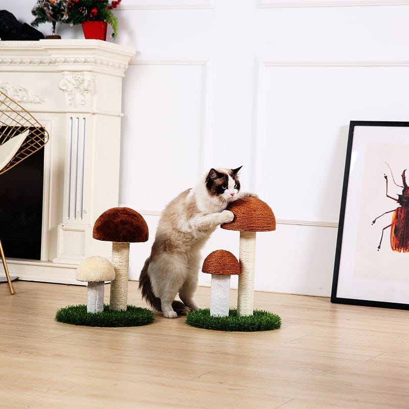 accessoire pour chat griffoir