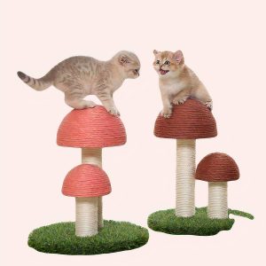 planche à gratter pour chat