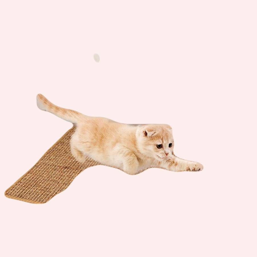 planche à gratter en sisal naturel