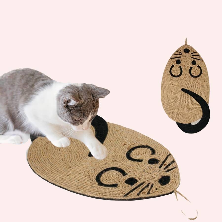 planche à gratter pour chat
