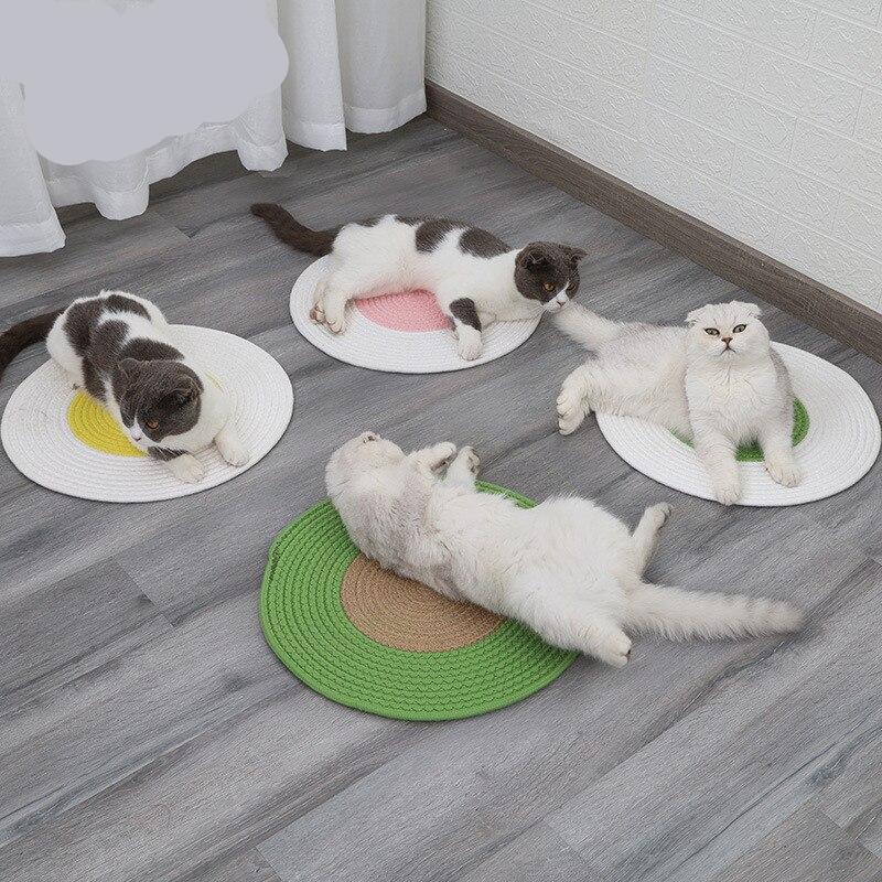 outil grattage chat sisal