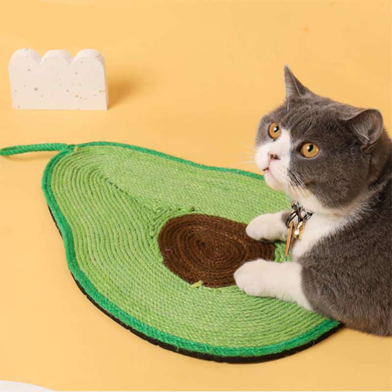 produit sisal chat