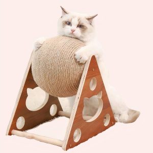 planche interactive chat