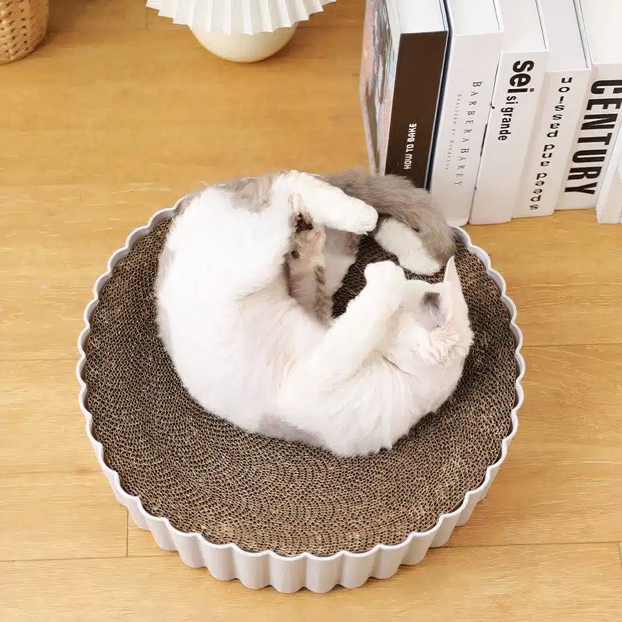 accessoire chat 2 en 1