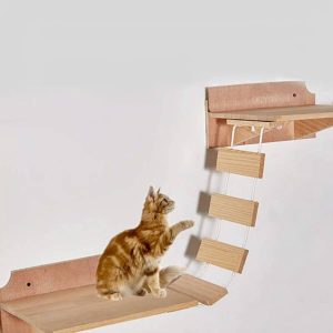 corde pour chat