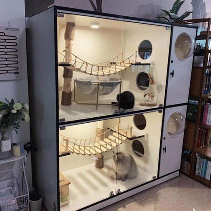 design pont en bois pour animal
