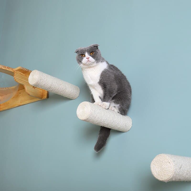 accessoire chat mural sisal