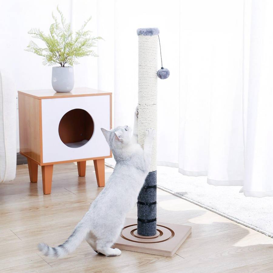 accessoire de grattage pour chat