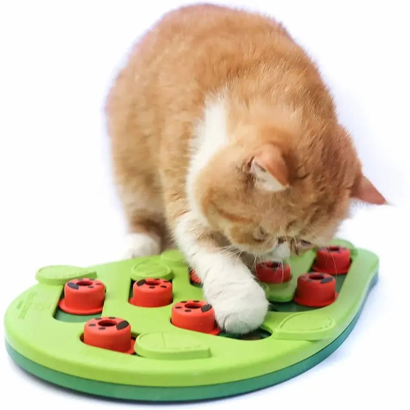 distributeur de friandises PurrPlay