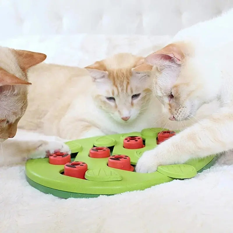 puzzle friandises chat ZenCatShop