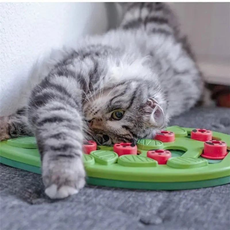 jouet intelligent anti-ennui pour chat