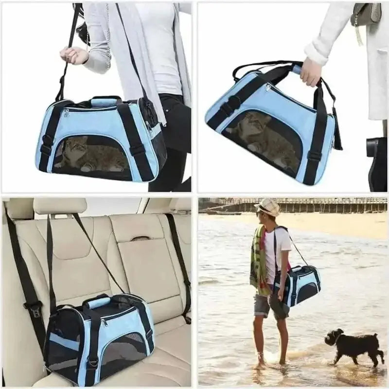 sac avion pour chat