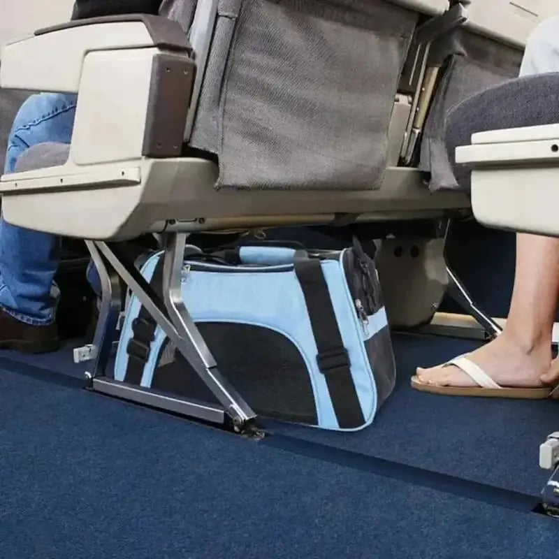 transport chat avion