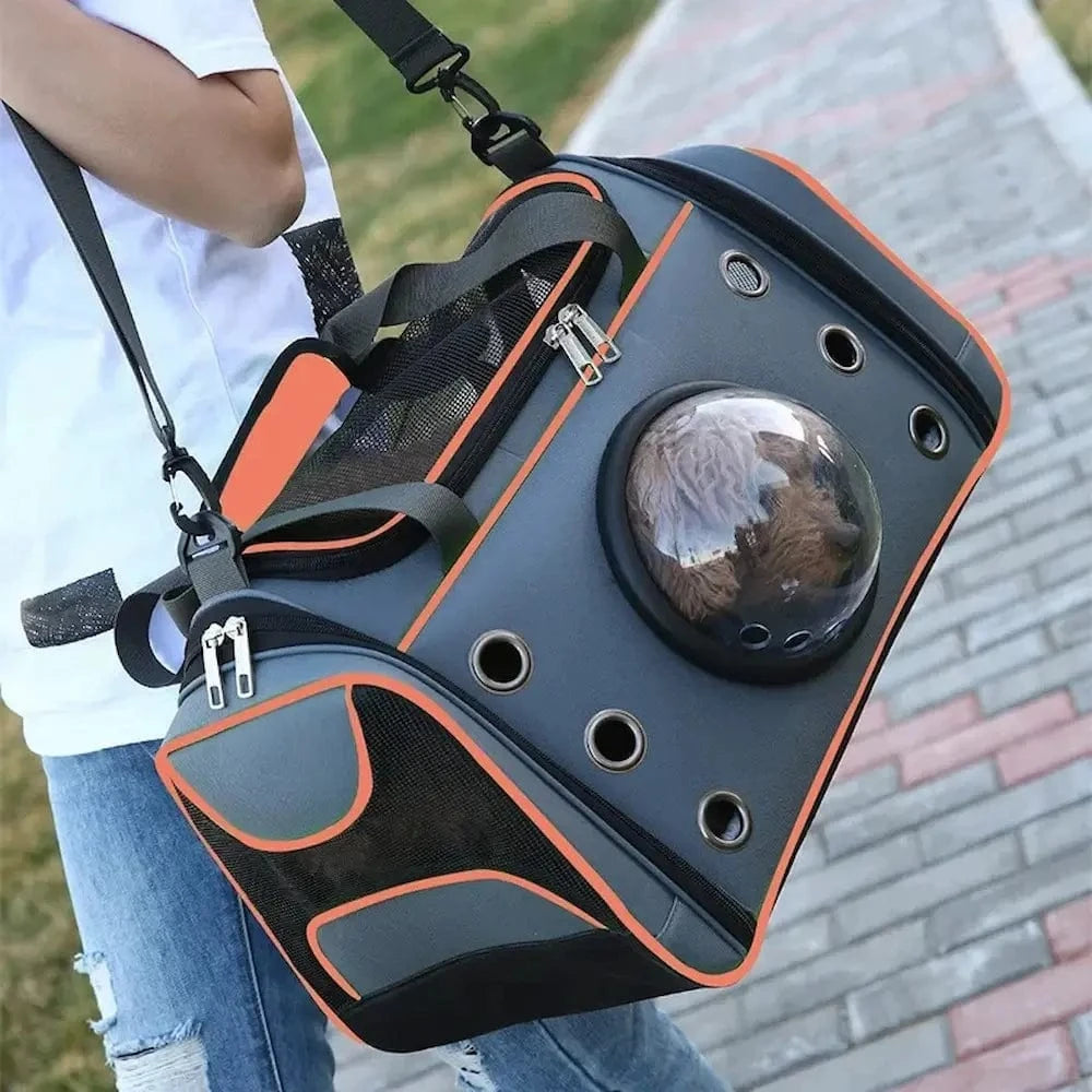 sac bulle chat
