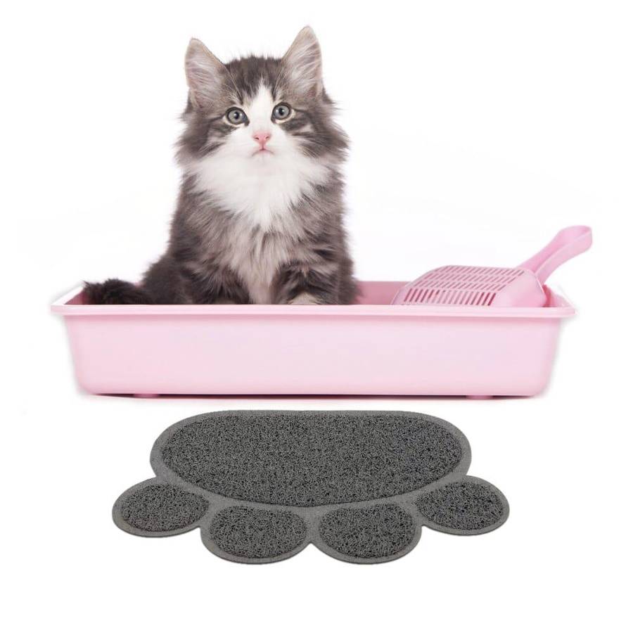 litière chat avec tapis patte