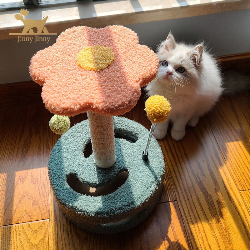 espace détente pour chat