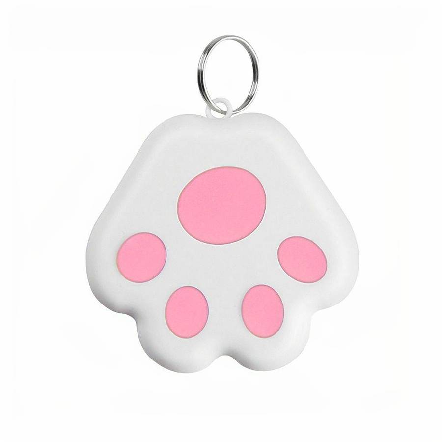 Gadget technologie patte de chat