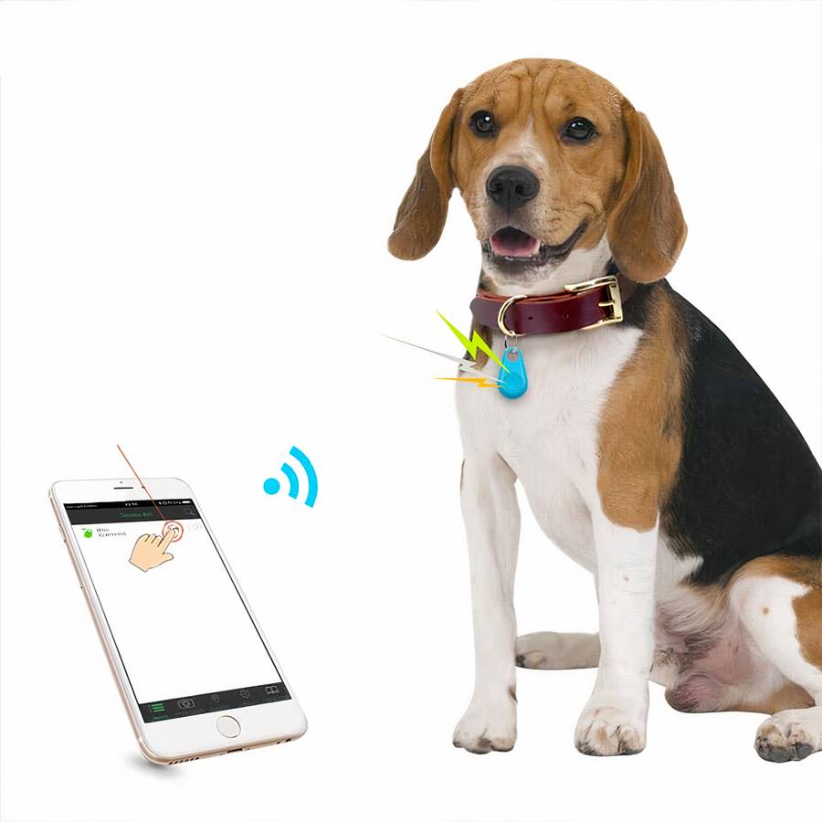 GPS Bluetooth pour animal