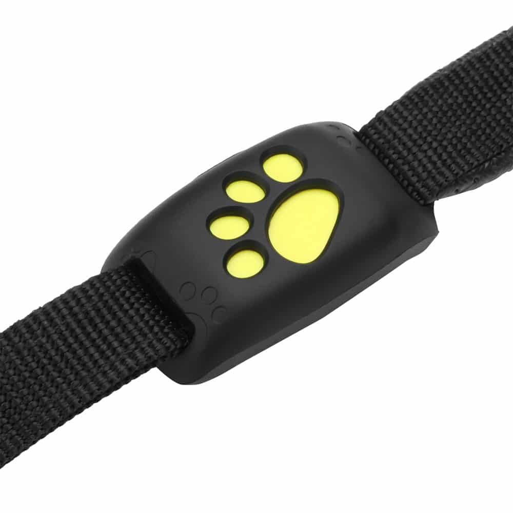 Collier GPS pour chat