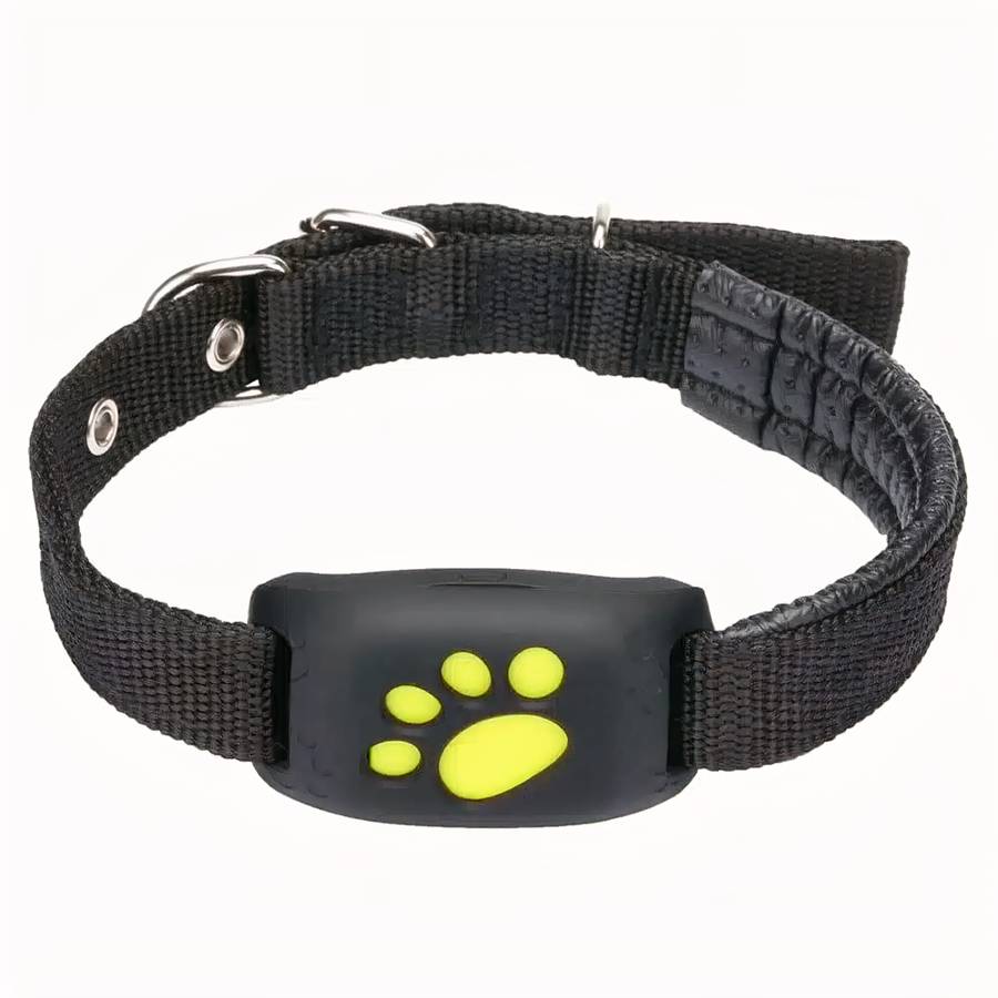 GPS collier de chat