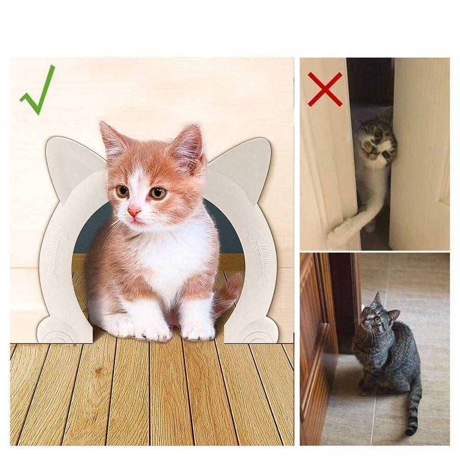 dispositif de porte pour chat