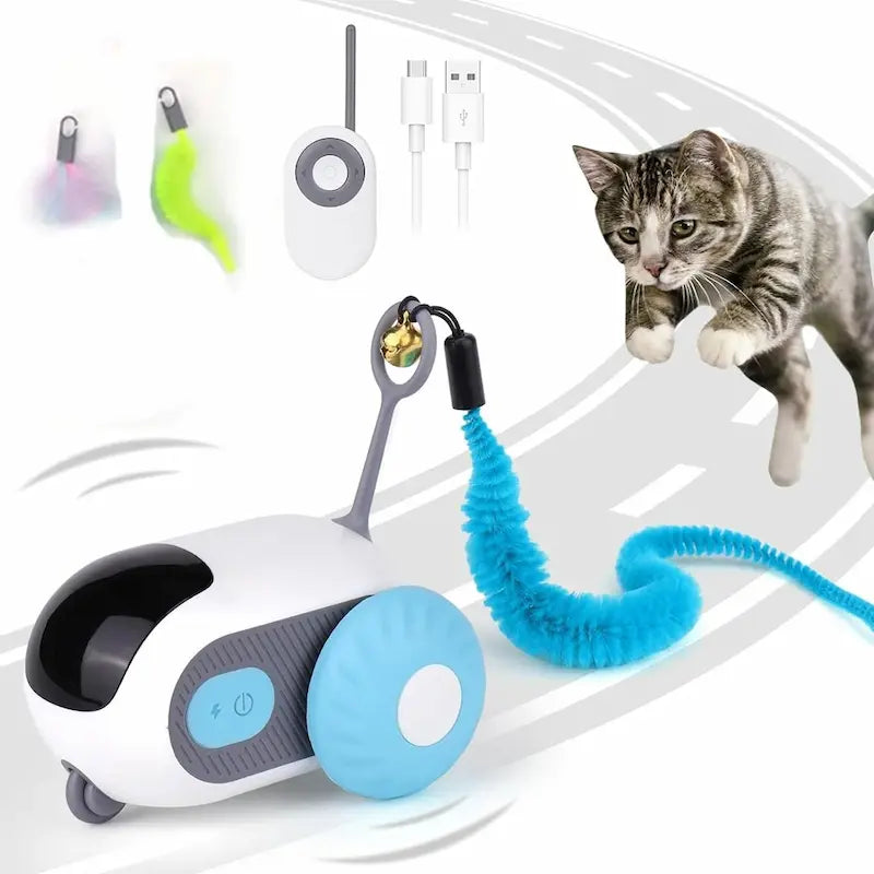 voiture télécommandée pour chat