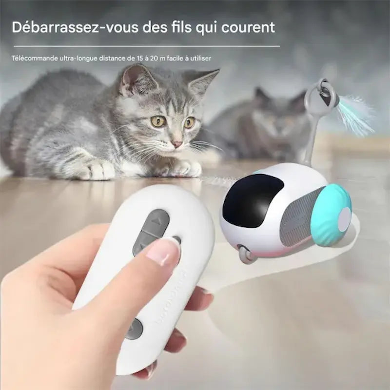 voiture silencieuse pour chat