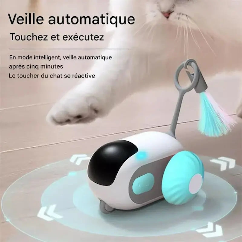 jeu de chasse pour chat
