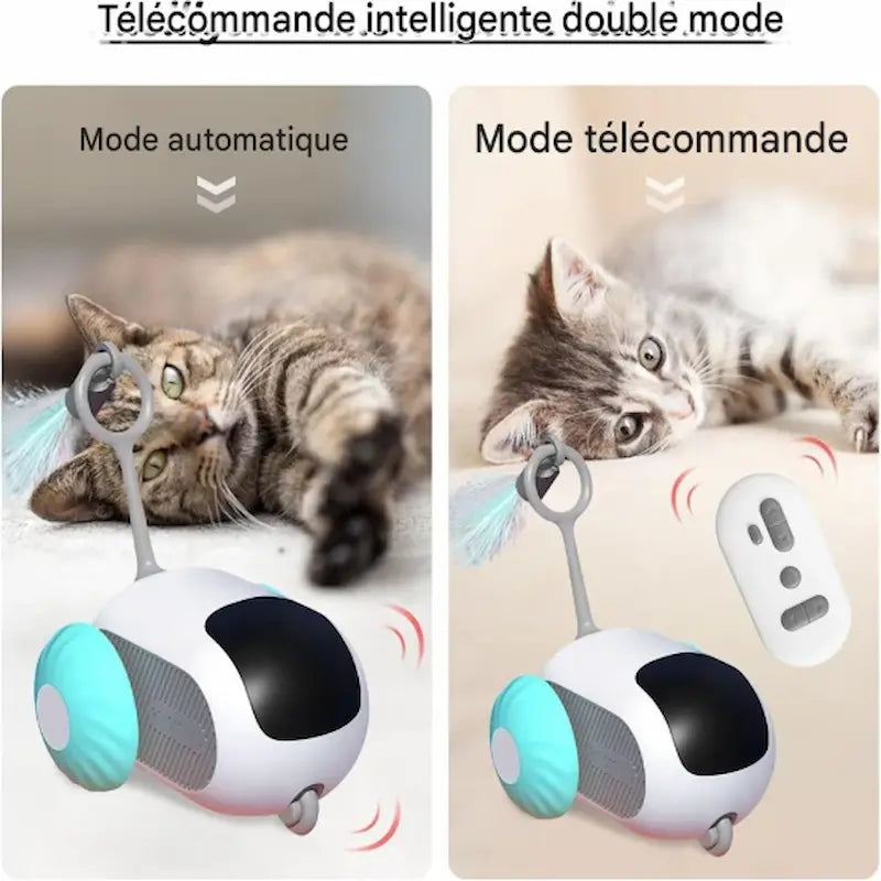 accessoire MiaouGo