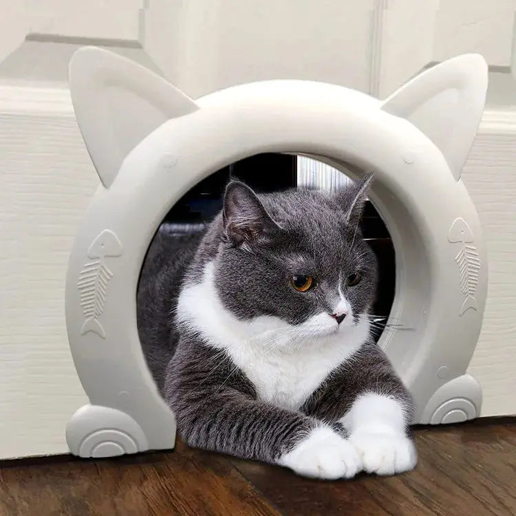 chatière connectée pour chat